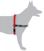 Black Dog Wear Balance Harness