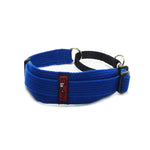 Black Dog Wear Sighthound Collar
