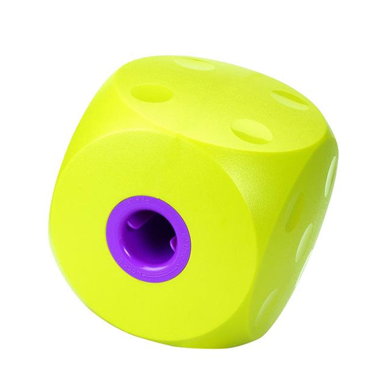 Buster Food Cube