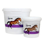 4CYTE Horse  Joint Treatment Granules