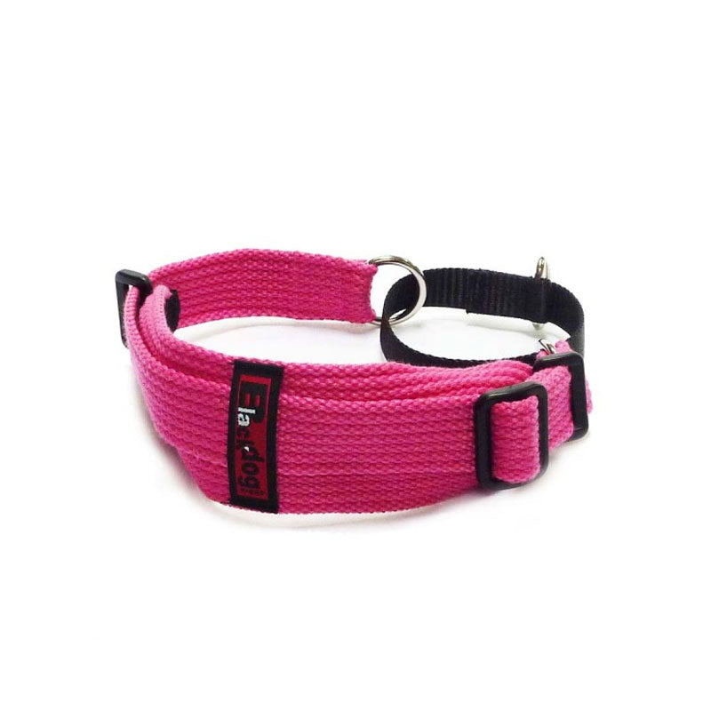 Black Dog Wear Sighthound Collar