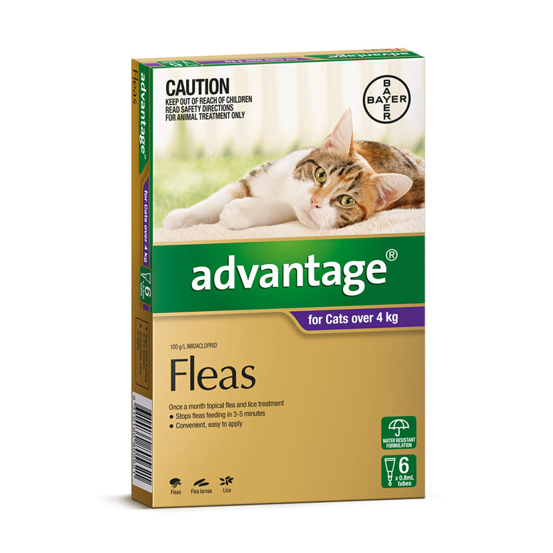 Advantage for Cats Over 4kg