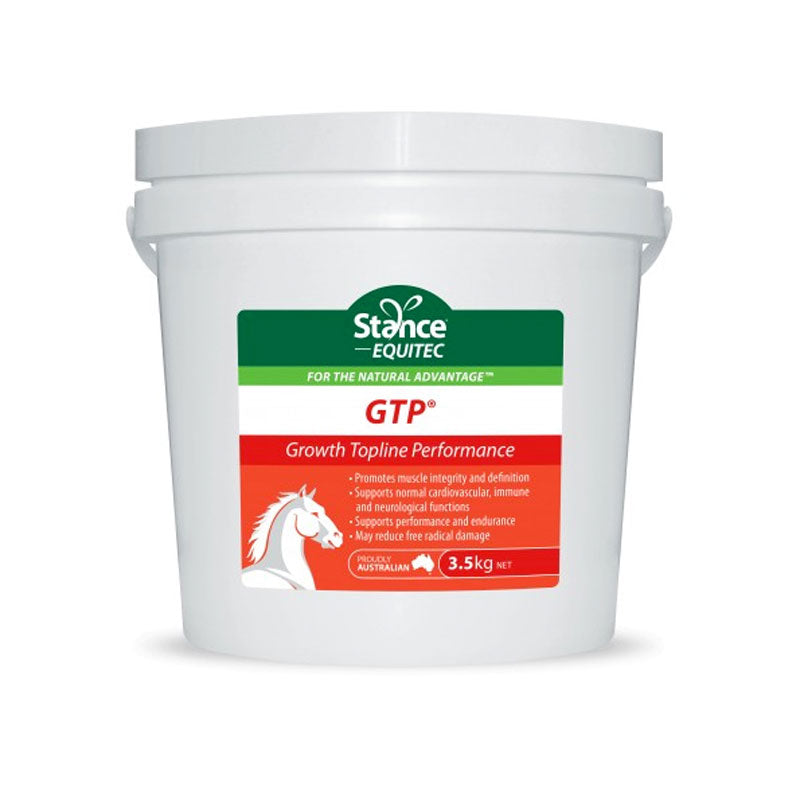Stance Equitec GTP (Growth, Topline, Performance)