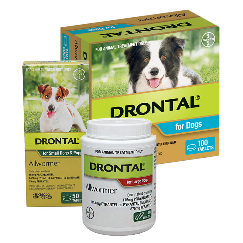 Drontal Allwormer Tablets for Dogs - Professional Pack