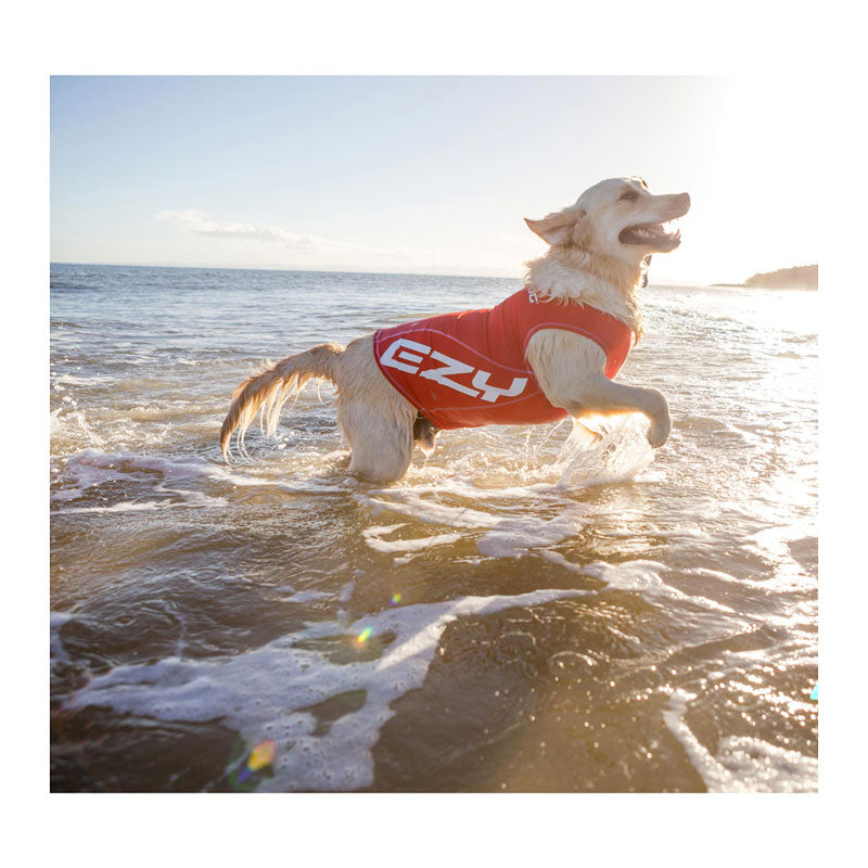 EzyDog Rashie Vest for Dogs