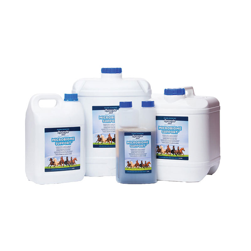 Dynavyte Microbiome Support Probiotic for Horses