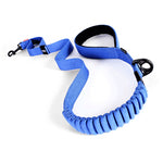 EzyDog Zero Shock Leash