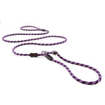 EzyDog Luca Leash Collar Combo