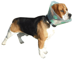 Funcol Elizabethan E Collar