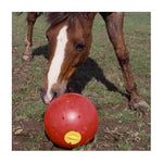 Likit Snak-a-Ball
