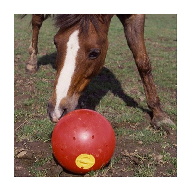 Likit Snak-a-Ball