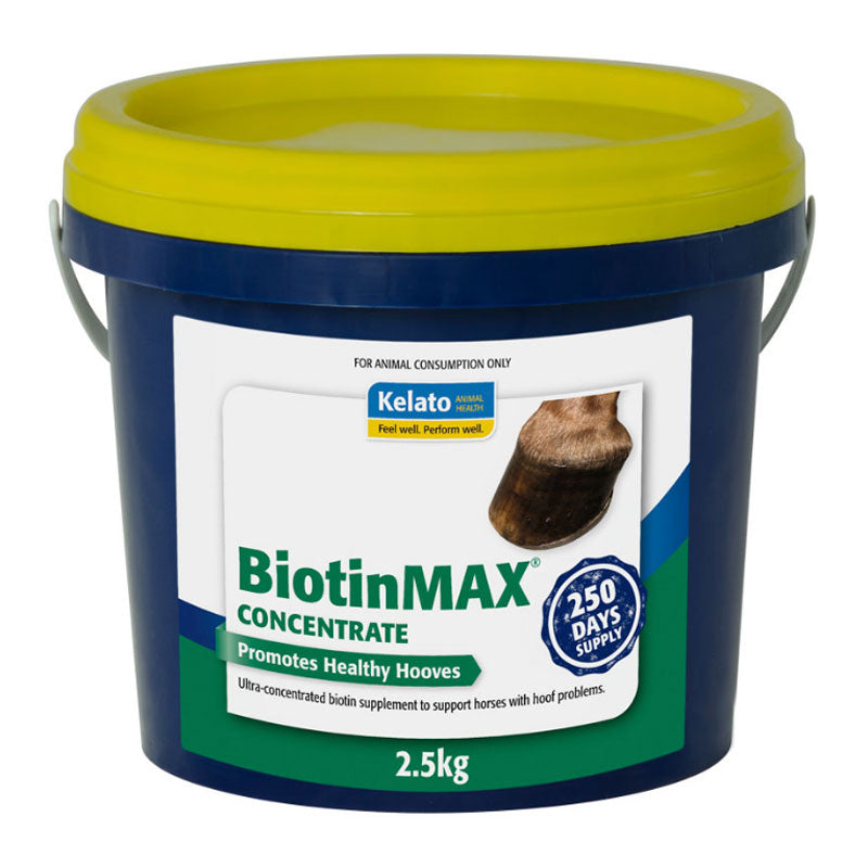 Kelato BiotinMAX Concentrate