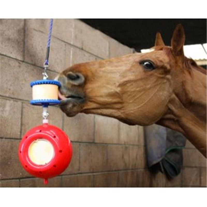 Horse Boredom Toys Likit – Boredom Breaker! – Want It! Have It