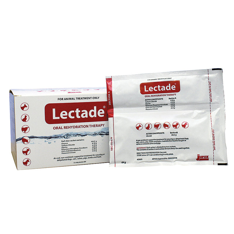 Lectade Lectade Sachet 64g – vet-n-pet DIRECT