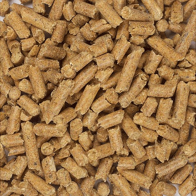 Kitter Wood Pellet Non-Clumping Cat Litter