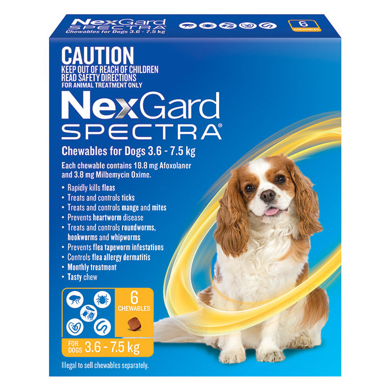 NexGard Spectra Chews for Small Dogs 3.6-7.5kg