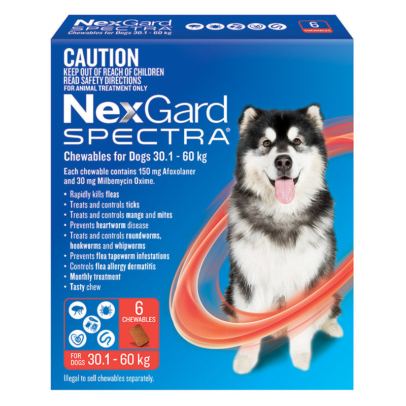 NexGard Spectra Chews for Very Large Dogs 30.1-60kg - 12 Pack Value Bundle