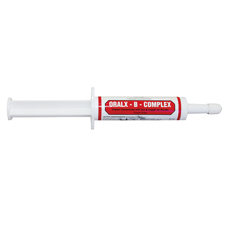 Oralx B Complex 34g