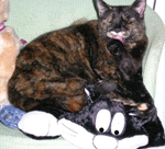SnuggleSafe Bruno Cushion