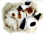 SnuggleSafe Bonzo Cushion