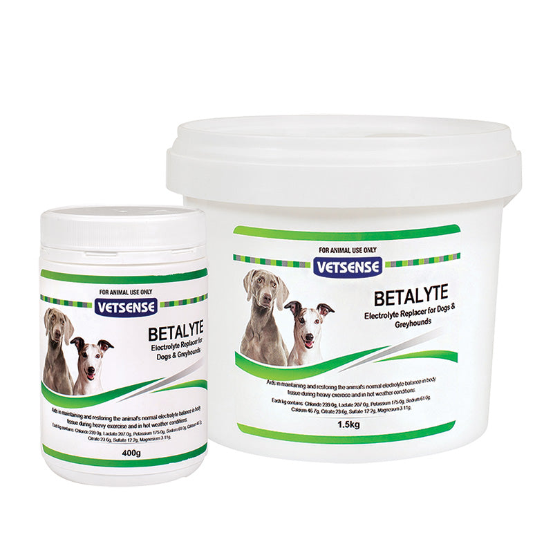Vetsense Betalyte Electrolyte Replacer for Dogs & Greyhounds.