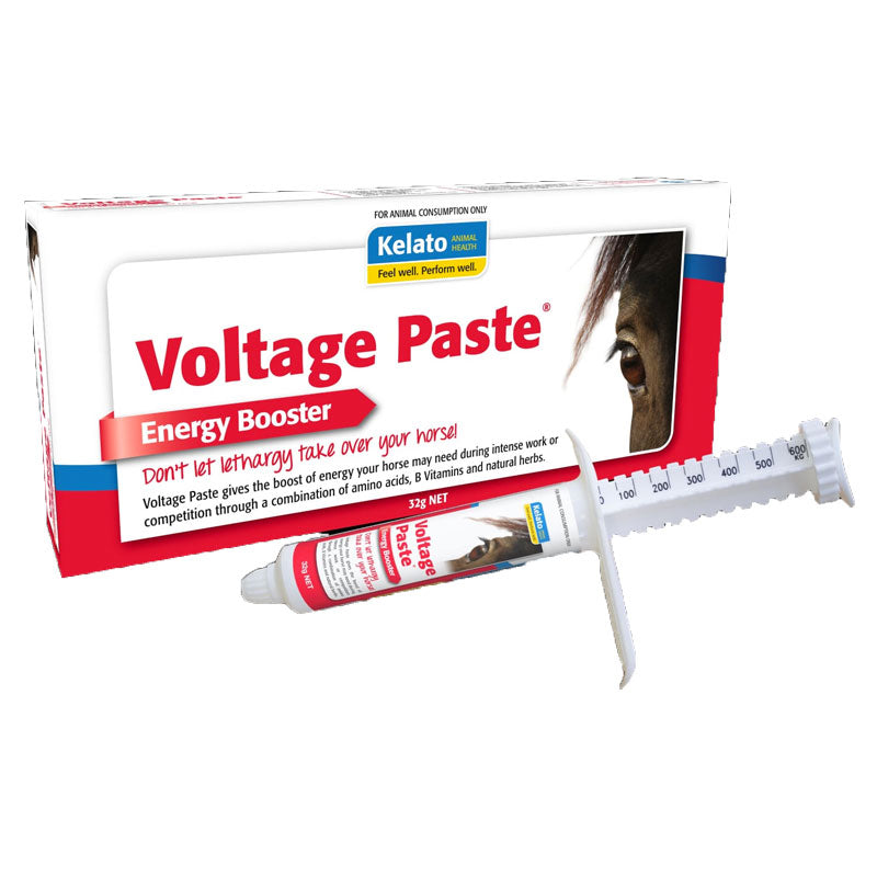 Voltage Paste 32g
