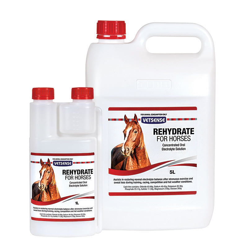 Vetsense Rehydrate for Horses