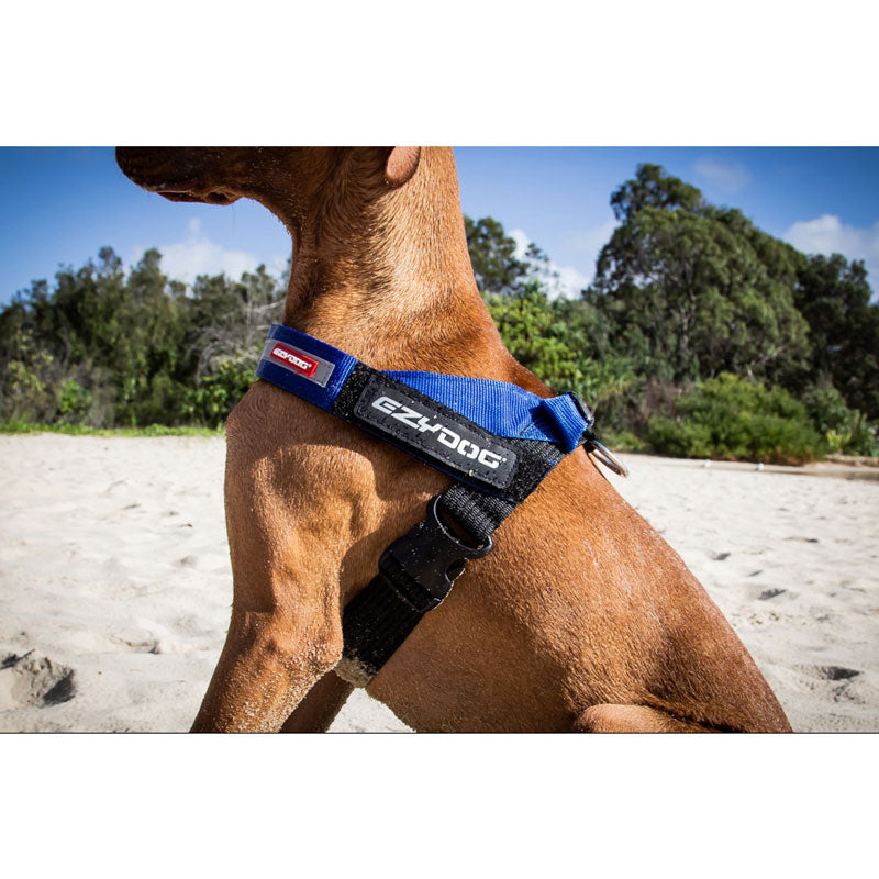 EzyDog Express Harness