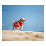 EzyDog Rashie Vest for Dogs