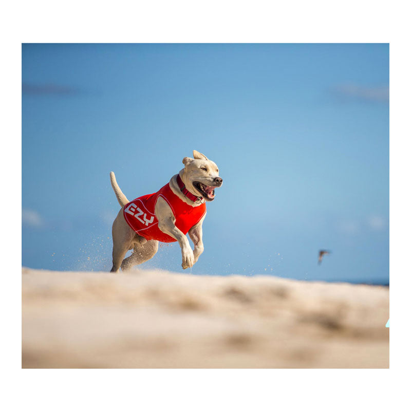 EzyDog Rashie Vest for Dogs