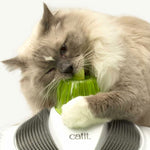 Catit Senses 2.0 Wellness Centre