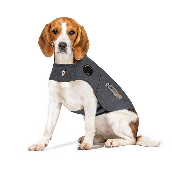Thundershirt for Dogs