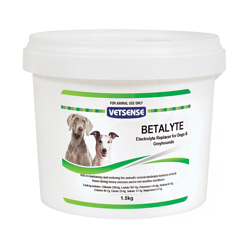 Vetsense Betalyte Electrolyte Replacer for Dogs & Greyhounds.