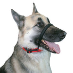 Sporn Head Control Halter