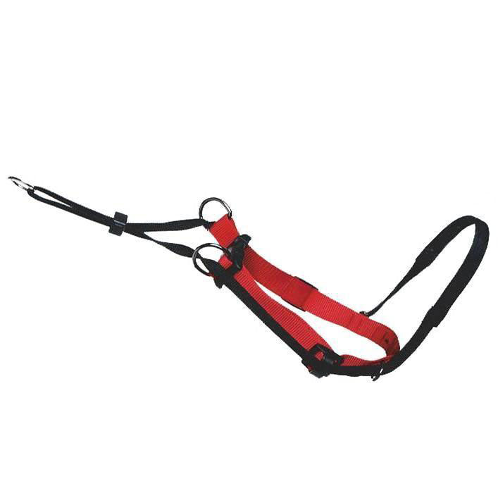 Sporn Head Control Halter