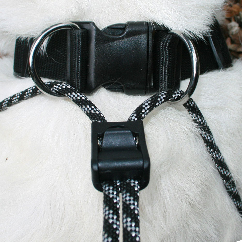 Sporn Big Dog Training Halter