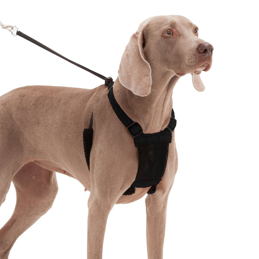 Sporn Non-Pull Mesh Harness vet-n-pet DIRECT