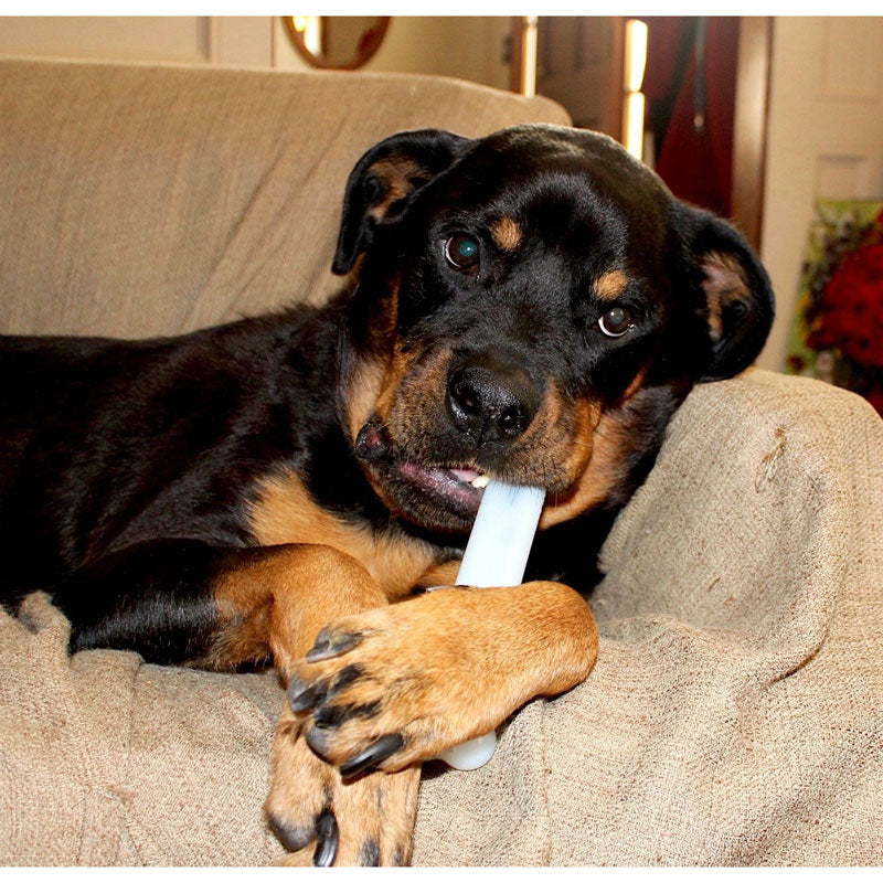Sporn Marrow Chew Bone