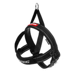 EzyDog Quick-Fit Harness