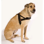 EzyDog Quick-Fit Harness