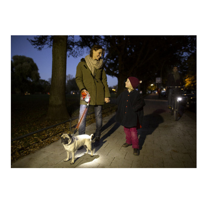 Flexi Leash LED Lighting System