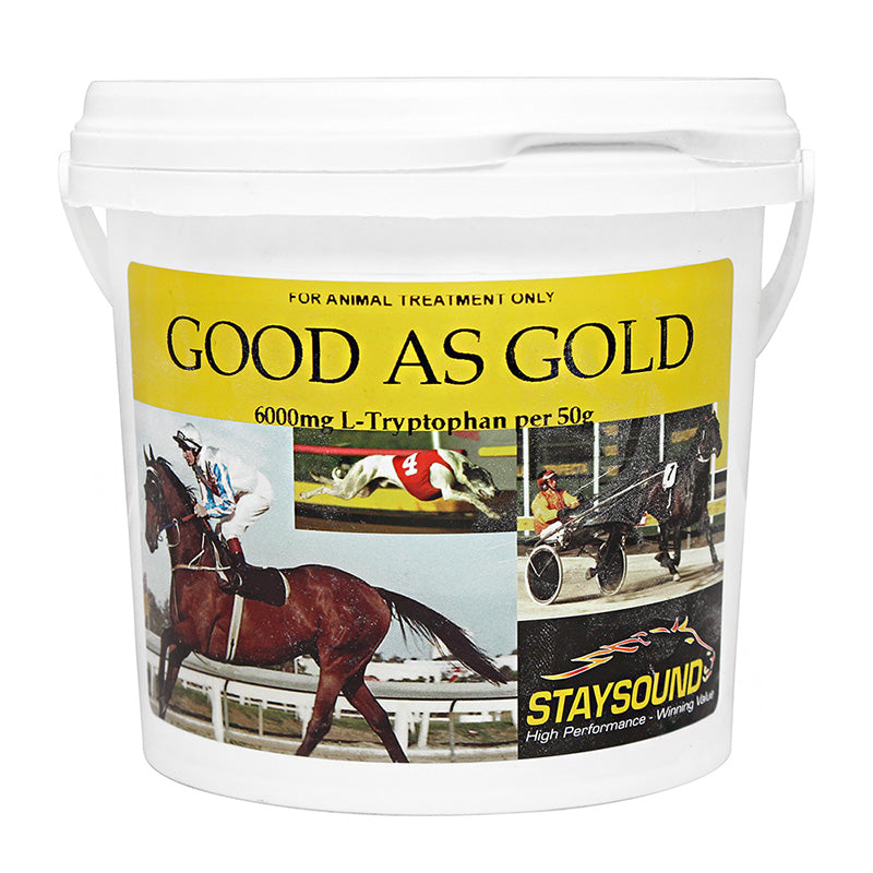Good As Gold - Staysound