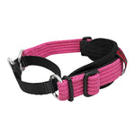 Black Dog Wear Whippet Collar Two Tone