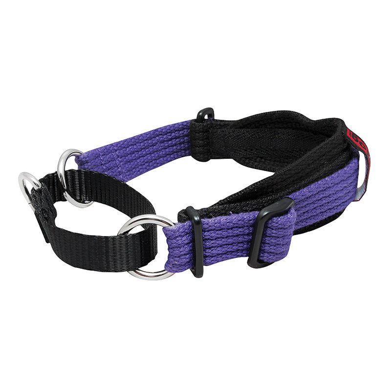 Black Dog Wear Whippet Collar Two Tone