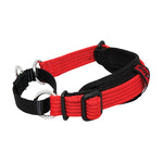 Black Dog Wear Whippet Collar Two Tone