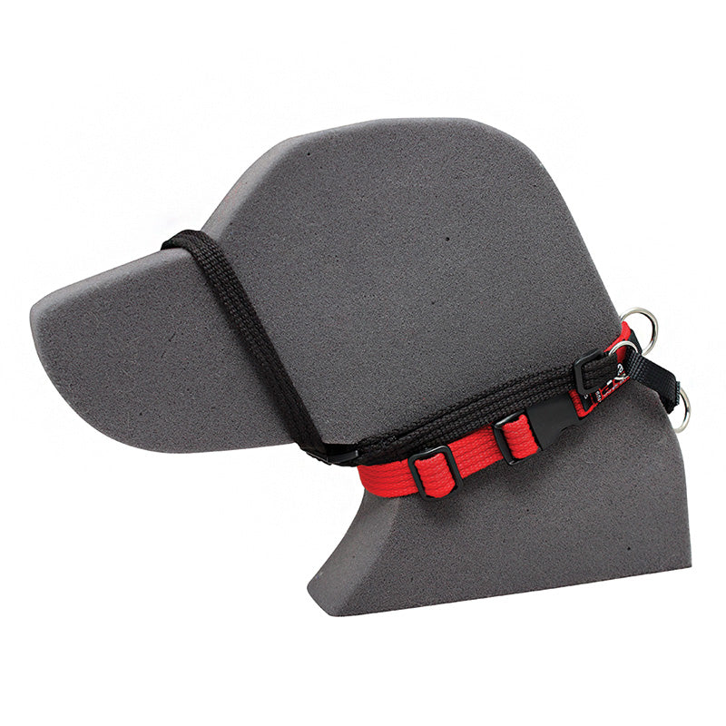 Black Dog Wear Haltermate