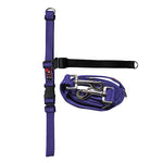 Black Dog Wear Balance Training Pack