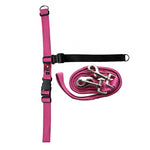Black Dog Wear Balance Training Pack