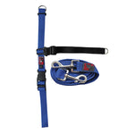 Black Dog Wear Balance Training Pack