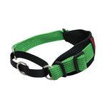 Black Dog Wear Two Tone Sighthound Collar